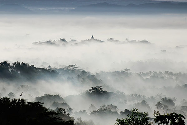 Photograph M Eko Burhanul M Borobudur Temple In The Morning on One Eyeland